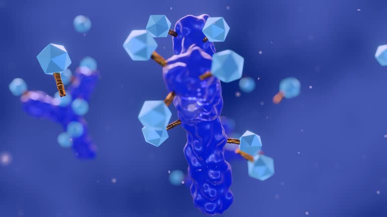 Antibody drug conjugated with cytotoxic payload.