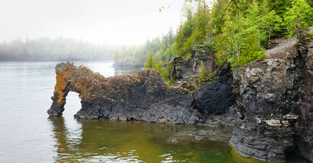 the sea lion in lake superior provincial park - thunder bay canada ontario provincial park imagens e fotografias de stock