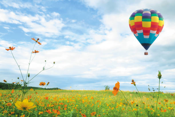 istock Flower park with hot balloon flying 2006829288