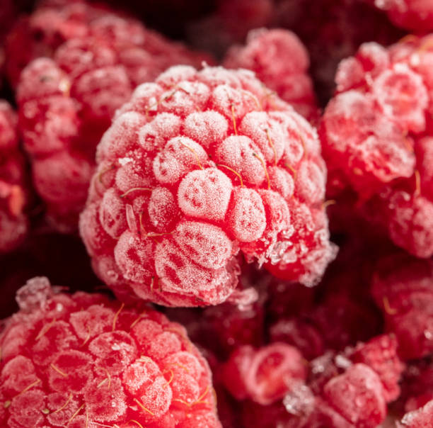 istock Frozen raspberries and blackberries close-up macro photography 2006970874