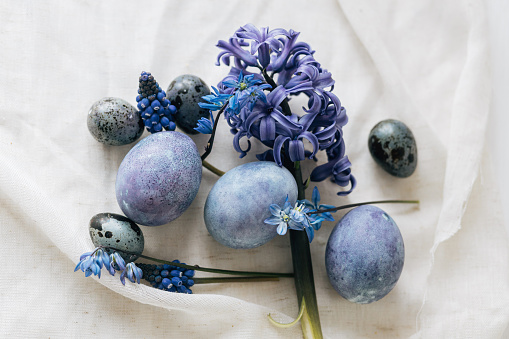 Stylish easter eggs and spring flowers on rustic wooden table. Happy Easter! Natural dye marble and blue eggs, purple hiacynt blossoms. Minimal still life.