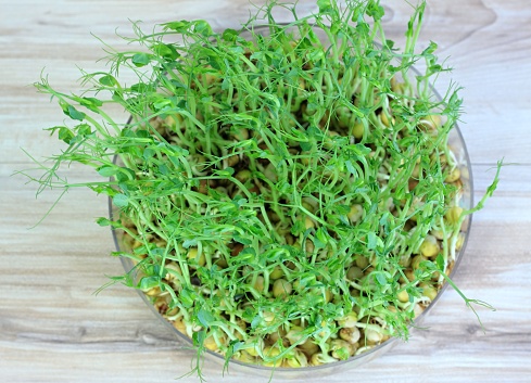 Microgreens as symbol of healthy eating,  flat lay.