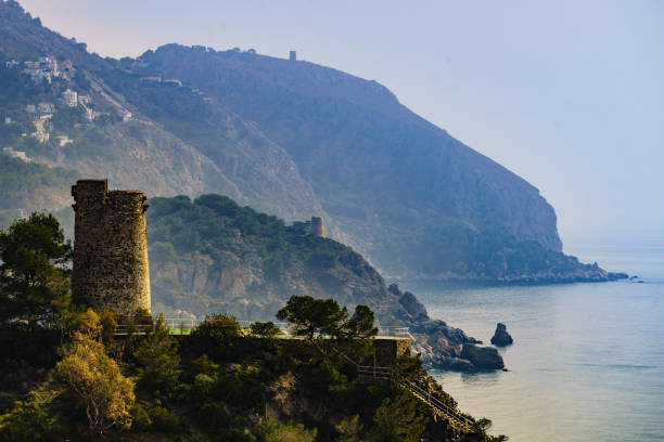 istock Coast view with Pine Tower, Andalusia Spain. 2007000584
