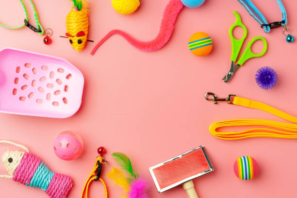 istock Pet toys on pink background studio shot 2007003879