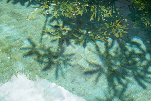 istock Tropical leaves shadow on the surface of swimming pool. 2007024089