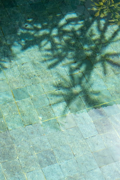 istock Tropical leaves shadow on the surface of swimming pool. 2007024092