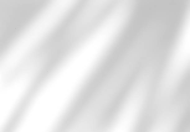 istock White wall with shadow of leaves overlay. Sunlight effect shadow on the wall. 2007065735