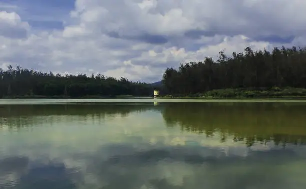 Photo of kamarajar Sagar dam or lake, the lake is a popular tourist place in ooty hill station and surrounded by pine forest near 6th mile, tamilnadu in india