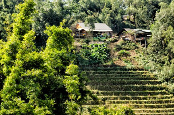 istock The nature and ethnicities of Sapa 2007073246