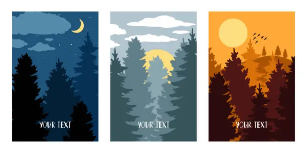 Vector illustration of Night and morning landscapes with silhouettes of fir trees