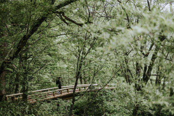 Photo series of a hike in the Kamikochi National Park