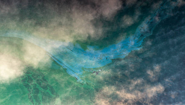 istock Top view of blooming algae on a pond 2007219571