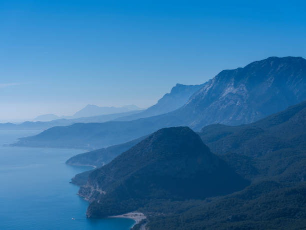 blue sea and forested shores