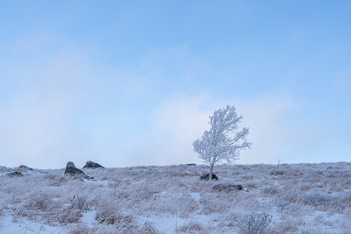 Snowy scenery on the highlands Kirigamine