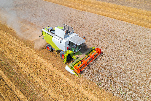 Aerial view of a modern combine harvester working in a yellow wheat field in the summer.