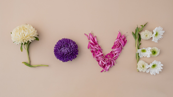 Word LOVE made of colorful flowers on feminine beige background. Concept of celebration holiday valentines day women day weeding anniversary. Greeting card minimalistic