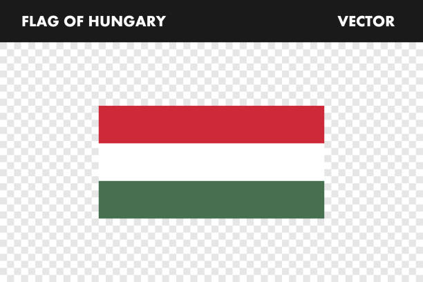 ilustrações, clipart, desenhos animados e ícones de bandeira, húngaro, fundo, ilustração, alta resolução, vetor, cor, padrão - hungary flag banner dirty