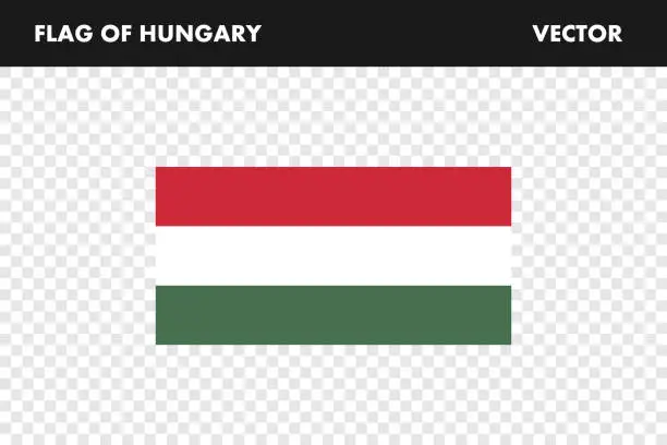 Vector illustration of Flag, Hungarian, background, illustration, high resolution, vector, color, standard