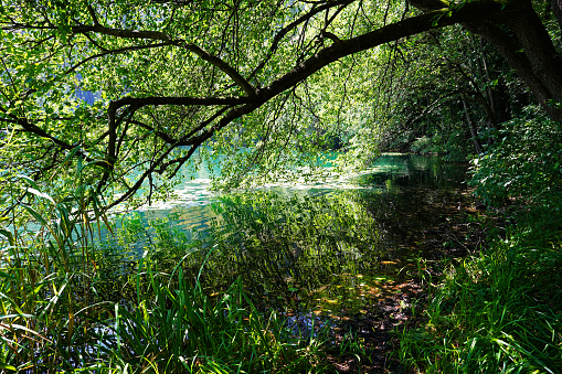 The beautiful Levico lake in Trentino Alto Adige (Italy).