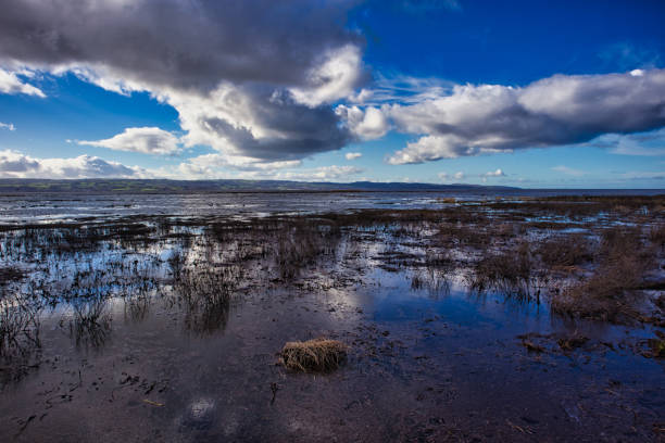 Natural flooding event along river flowing between England and Wales