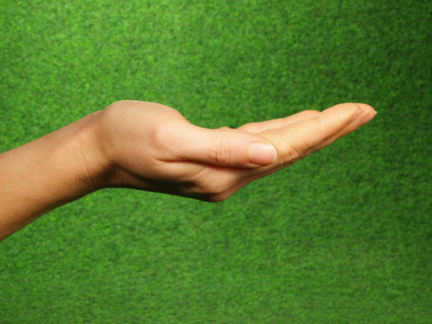 istock Woman holding Hand Symbol - Green Background 2007349079