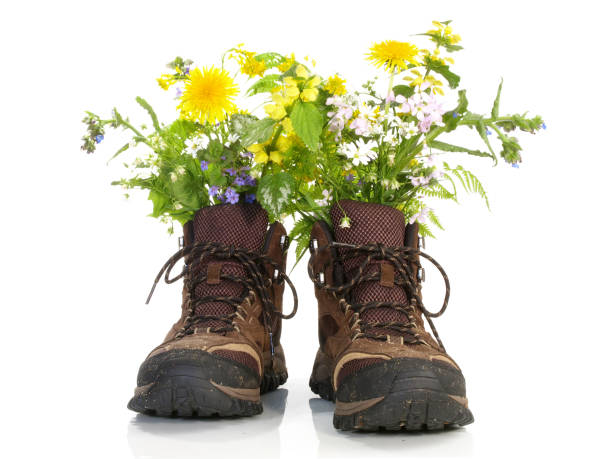 Hiking Shoes with Flowers on white Background