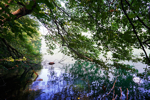 Water, lake, nature, river, landscape, tree, reflection, sky, blue, pond, grass, reeds, green, autumn, forest, wave, summer, calm, park, swamp, season, winter, sea, trees, branches , Blue, sky, clear, transparent, concise, lines, dead wood, mass, waves, wallpaper, poster, depression, stump, clean, reflection, cold, landscape, season, beautiful, travel,