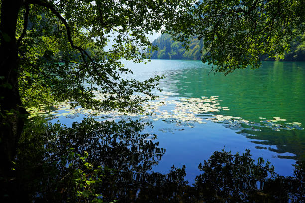 Levico lake in summer stock photo