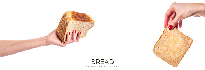 Hand with square slices of whole wheat bread, healthy food. Isolated on white background. High quality photo