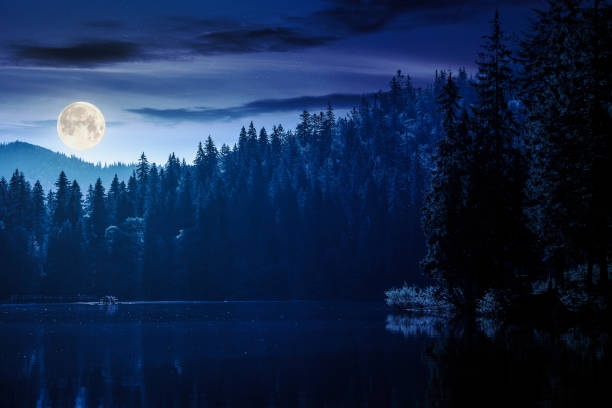istock composite night scene of lake among forest 2007433466