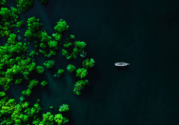 istock Aerial view of a boat in a river lined with green trees 2007487191
