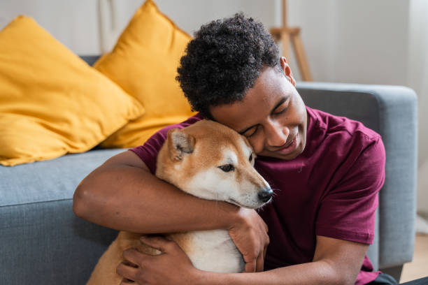 istock Playful Bonding with Shiba Inu 2007489362