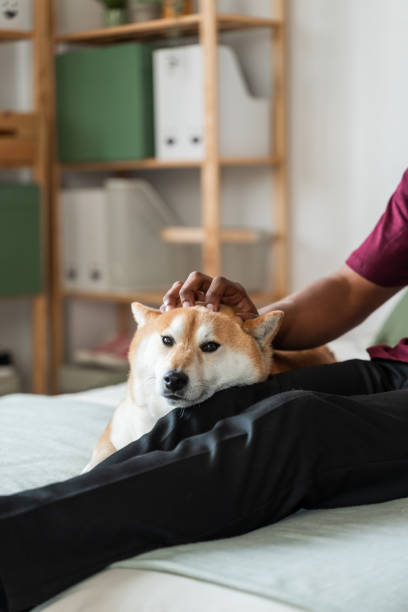 istock Young Man Relaxing with Dog on Bed 2007492783