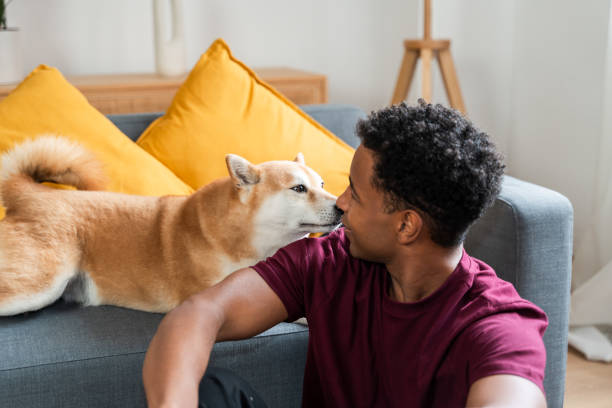 istock Nose to Nose Bonding with Shiba Inu 2007495123