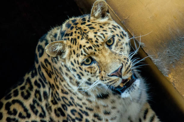 Taken in the Okavango Delta, Botswana