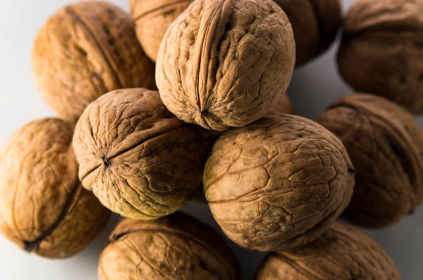 group of walnuts on a white background, isolated - fat strength continuity freshness photos et images de collection