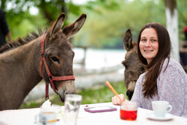a woman drinks juice and caresses a donkey