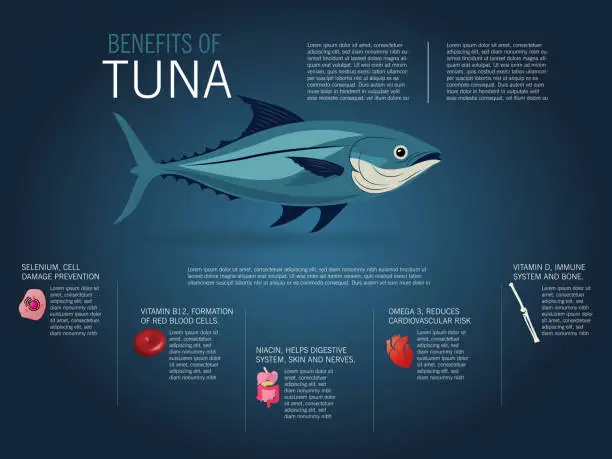 Vector illustration of Infographic of the benefits of eating tuna