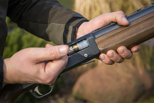 A close-up view of a hunter's hand loading a cartridge into a hunting rifle.