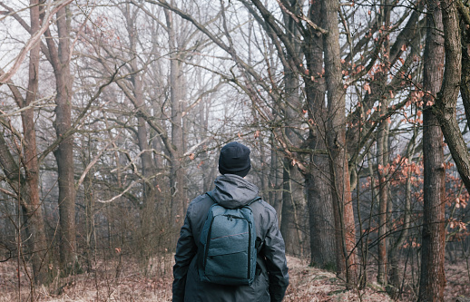 Man in cap and jacket walking through fog forest with backpack. Nature, travel background
