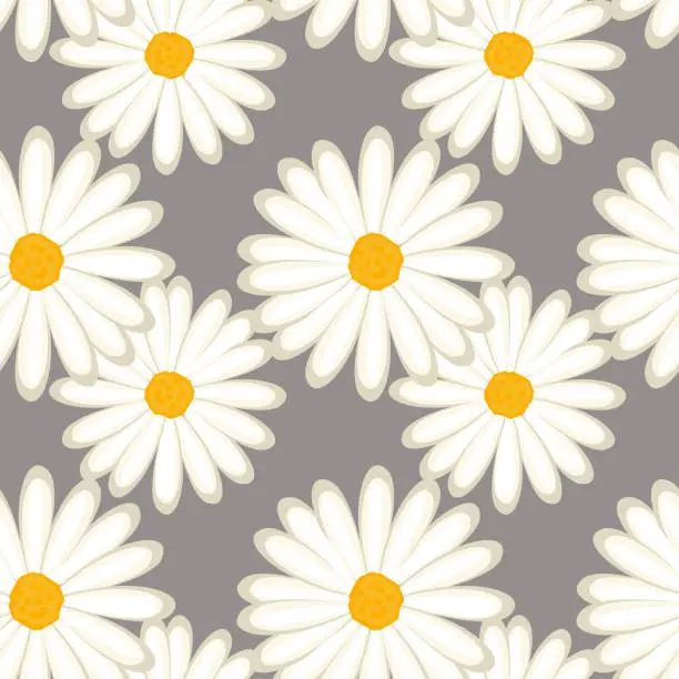Vector illustration of Seamless pattern, white daisies on a gray background, Background, print, textile, wallpaper