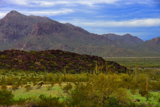 istock Mt Norman Sonora Desert Arizona 2007621189