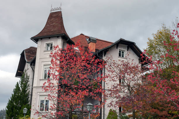 facade of historic building is tree with autumn yellow leaves. brick house of historical architecture in autumn season. urban landscape. tourist destinations, famous place in business part metropolis.