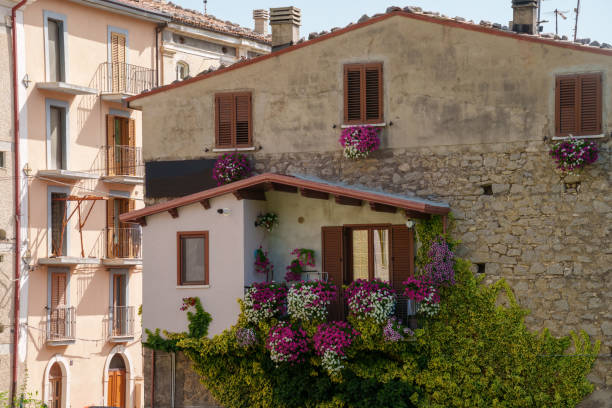 White and pink petunias on a terracotta house wall.