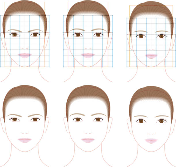 profil i przednia twarz pięknej kobiety. ilustracja proporcji twarzy - white background human mouth human nose facial hair stock illustrations