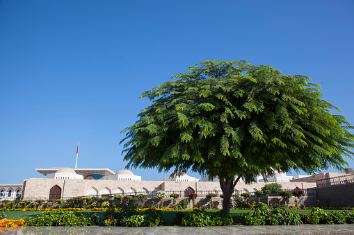 Muscat, Oman - March 05,2022 : View on the old town Muttrah which is located in the Muscat governorate of Oman.