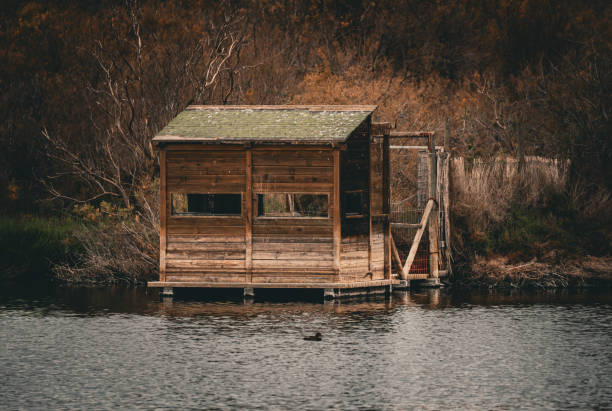 istock Viewpoint of the pond 2007695054