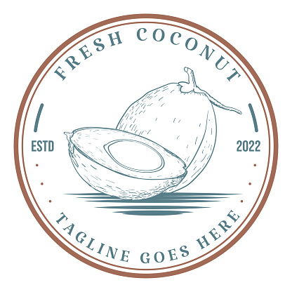 Vintage Retro Young Coconut for Drink Product Label Badge Emblem Sticker Design Vector