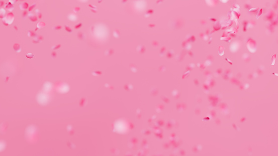 Pink Rose Petals Fly Around background. Valentines day concept. 3D render illustration.