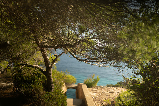 Hidden pathway to the sandy beach in Majorca, Spain. View of the sea